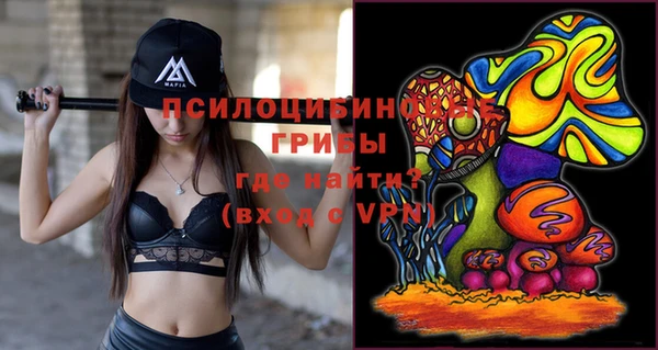герыч Алексин