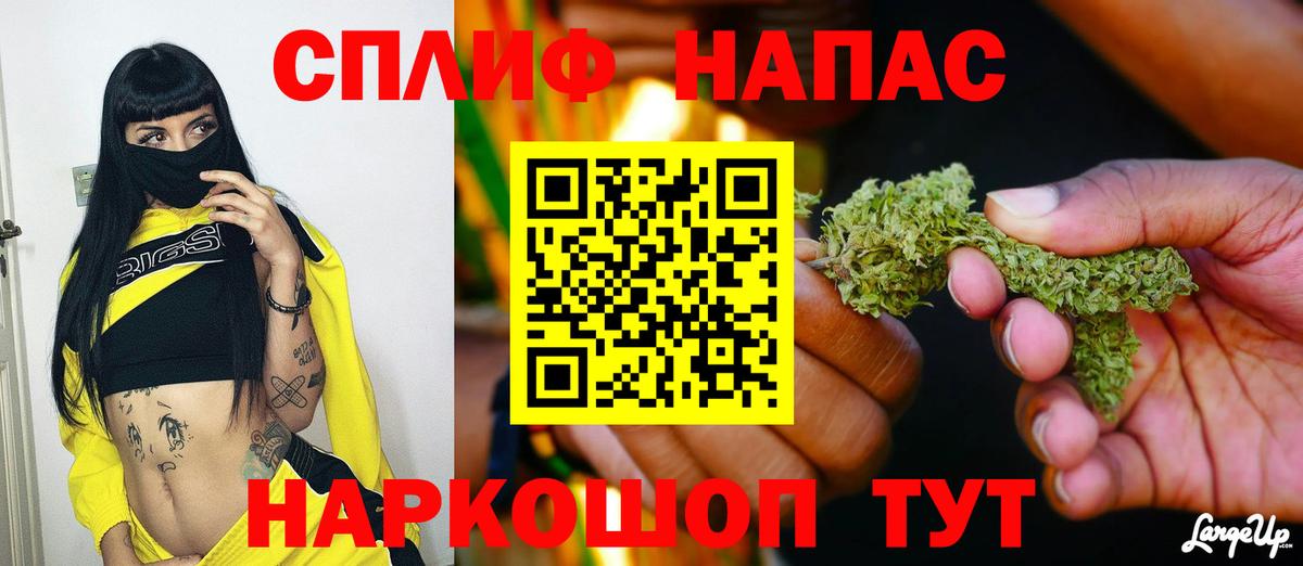 Шишки марихуана план Ставрополь